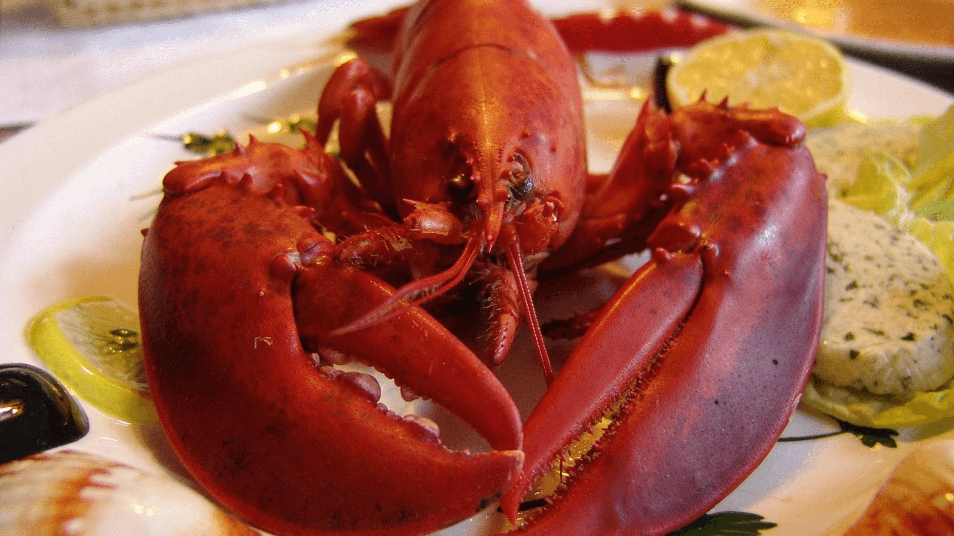 Lobster Tail: A Luxurious Dish That’s Surprisingly Easy to Make Lobster Tail
